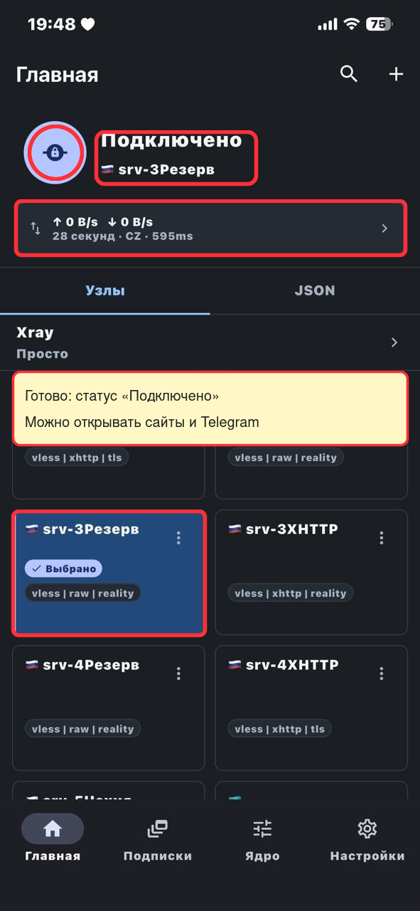 OneXray iPhone: VPN подключён